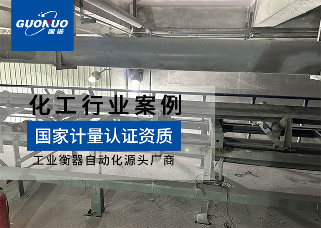 青海金榮旭貿易/察爾漢鹽湖鎂業皮帶秤項目