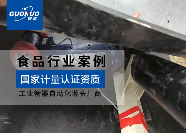 江達機械皮帶秤項目