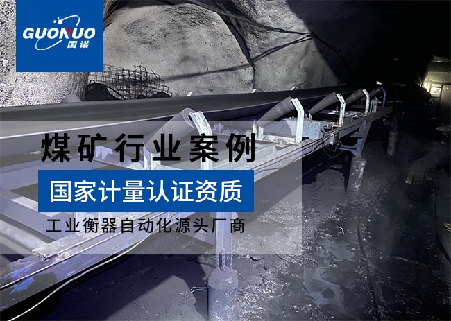 馬田礦業礦用防爆皮帶秤項目