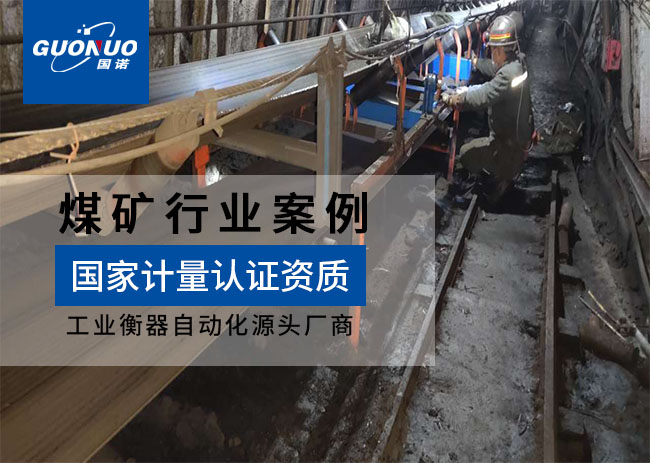 萍鄉市王坑煤礦皮帶秤項目