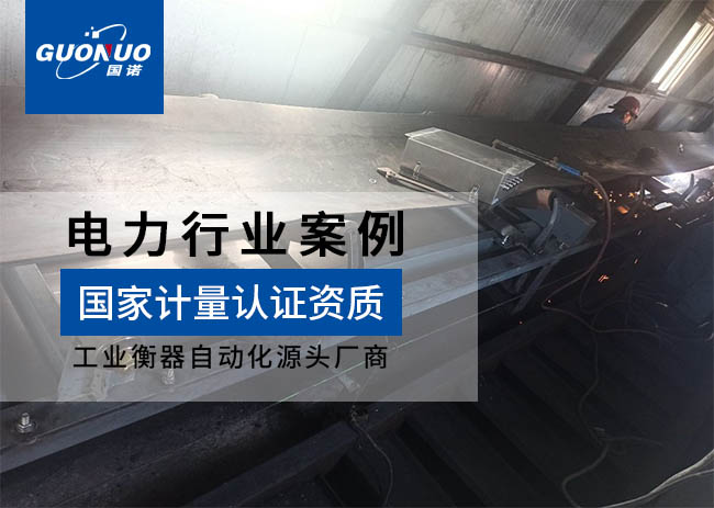 國信生物質發電項目皮帶秤案例