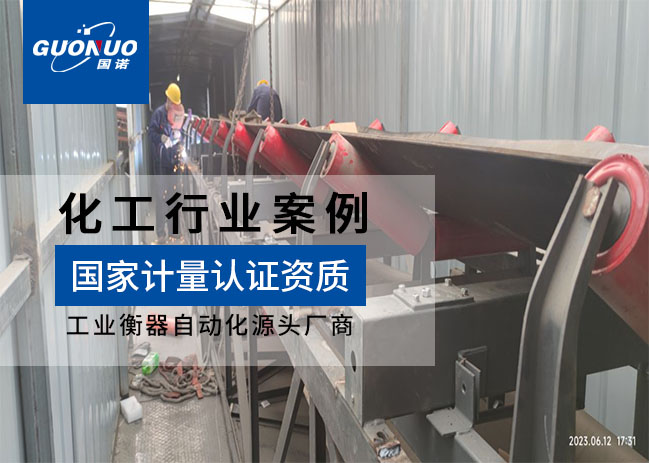 艾浦生再生新材料皮帶秤項目