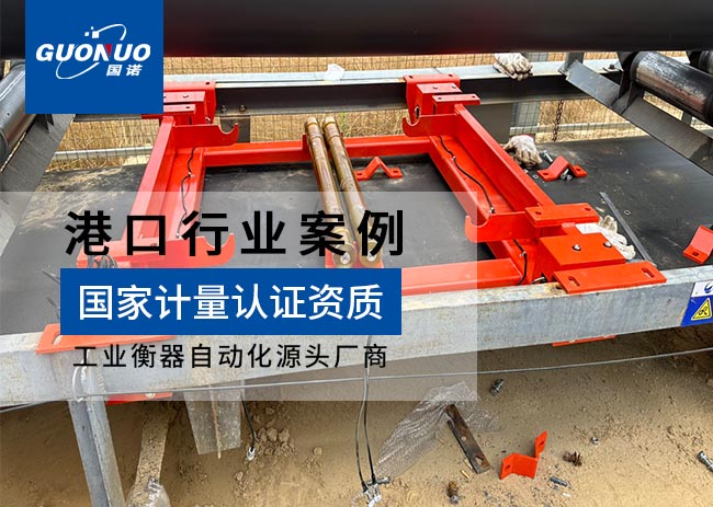 廬山國控港務高精度電子皮帶秤項目