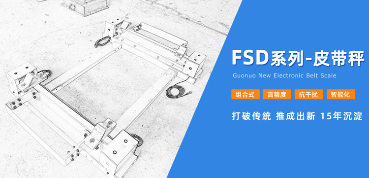 創新技術引領稱重皮帶秤發展，國諾信科如何突破重圍